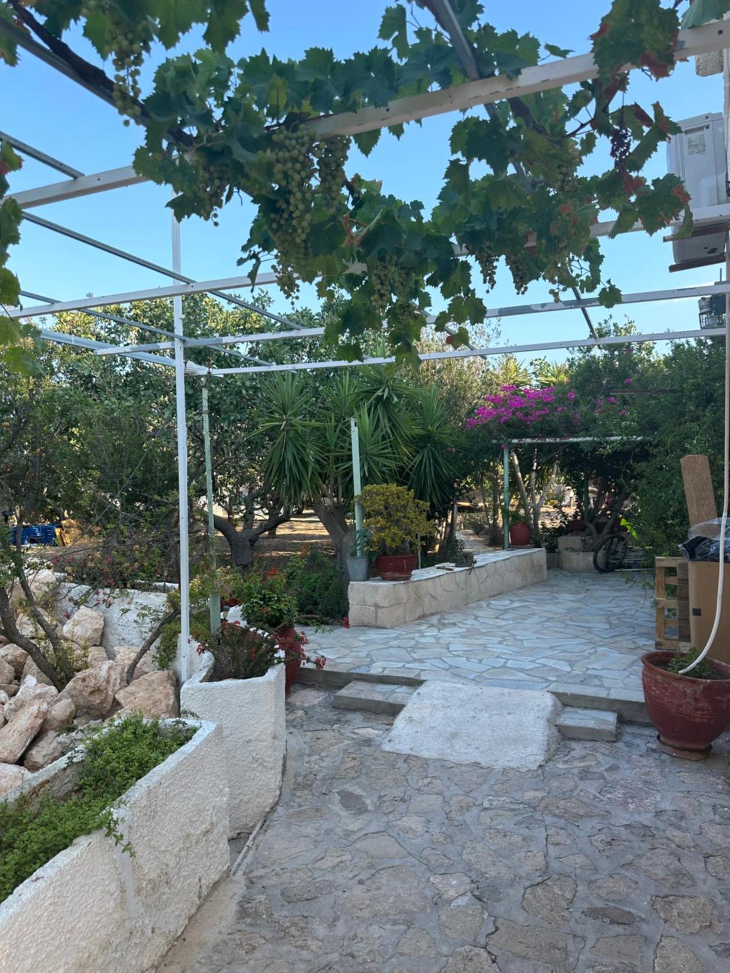 דירות Khloi Solmar Aegina With Private Pool - Jacuzzi מראה חיצוני תמונה