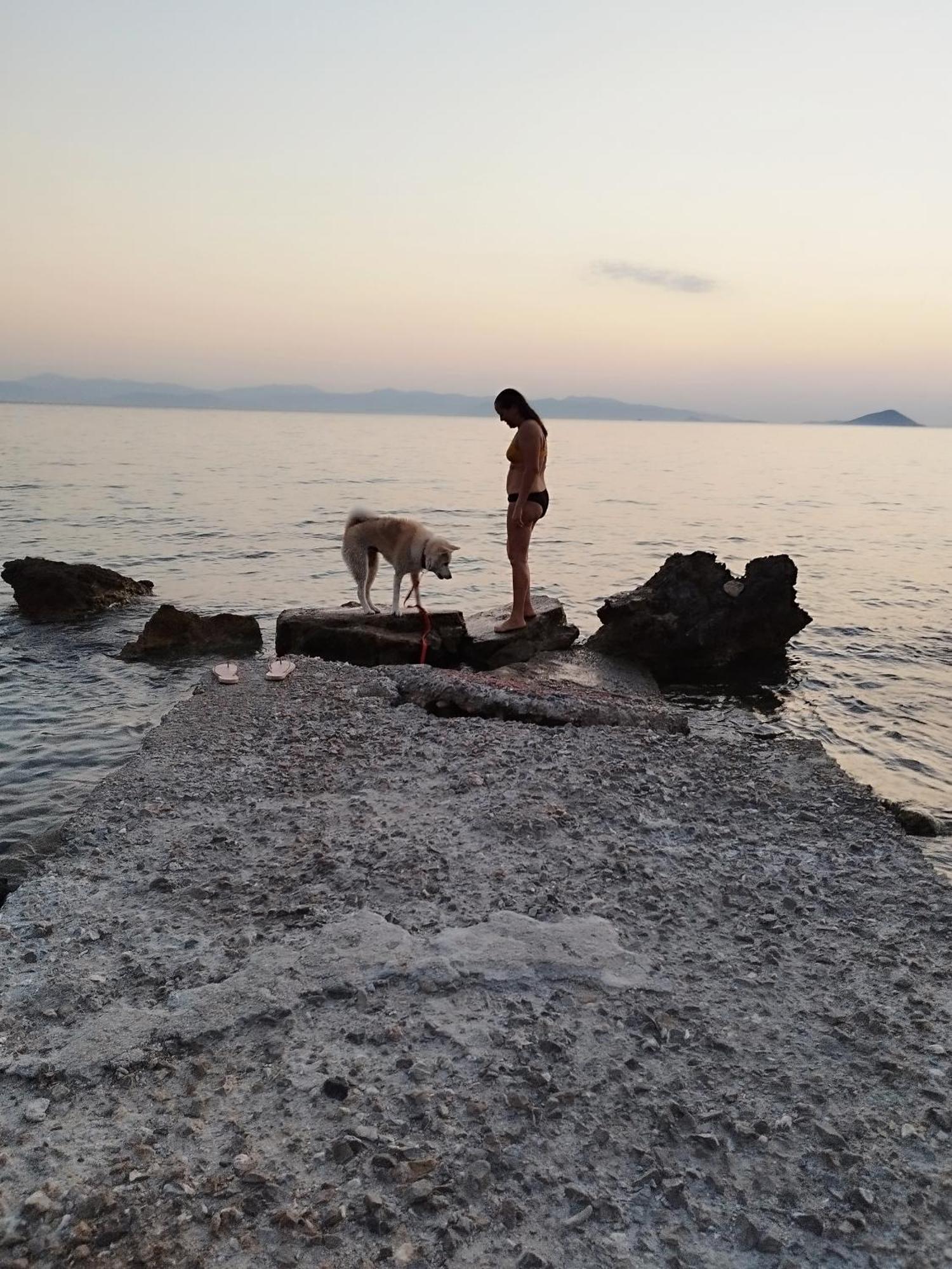 דירות Khloi Solmar Aegina With Private Pool - Jacuzzi מראה חיצוני תמונה